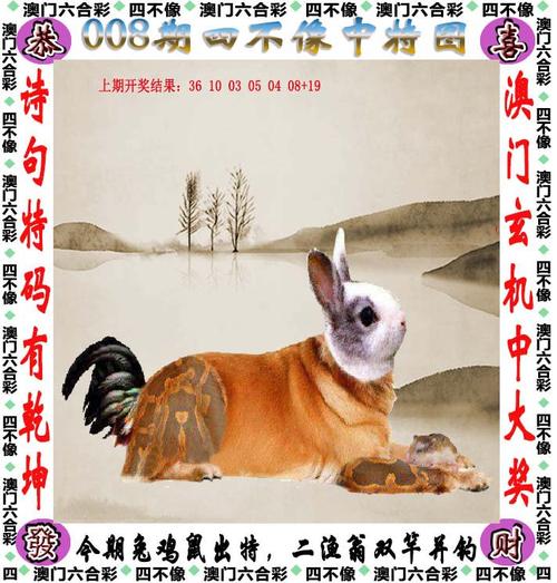 2023澳门全年资料免费公开,设计策略快速解答_VR型43.237