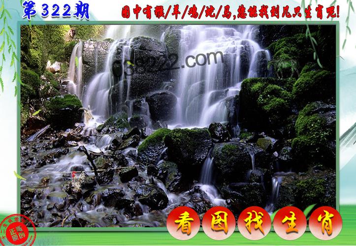澳门王中王精准一肖一码,设计策略快速解答_整版DKJ656.74