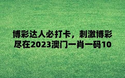 管家婆一肖一码澳门,设计策略快速解答_整版DKJ656.74