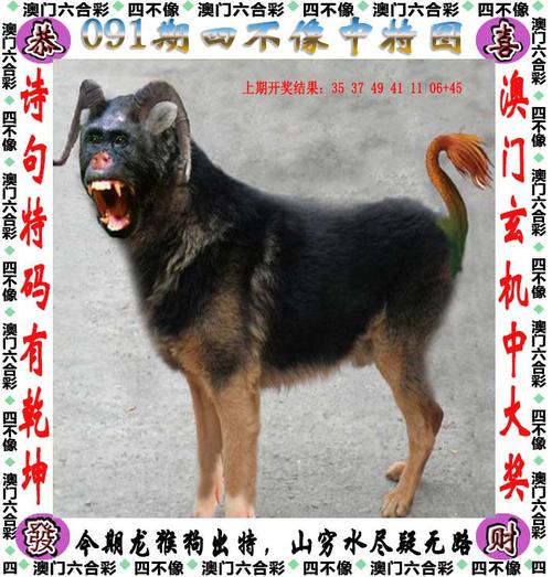 澳门精准资料四不像正版,真实经典策略设计_VR型43.237