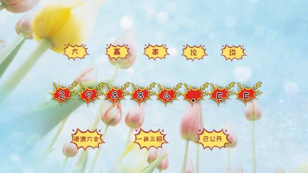 澳门最准最快资料查询,设计策略快速解答_VR型43.237