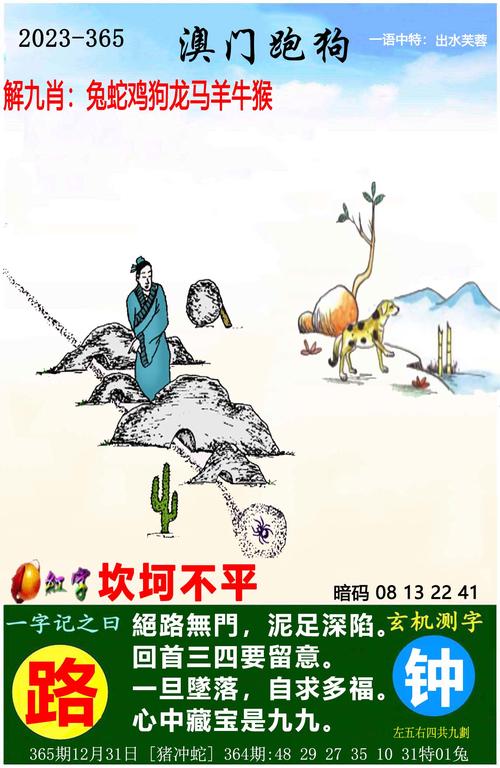 澳门平特一肖资料,设计策略快速解答_整版DKJ656.74