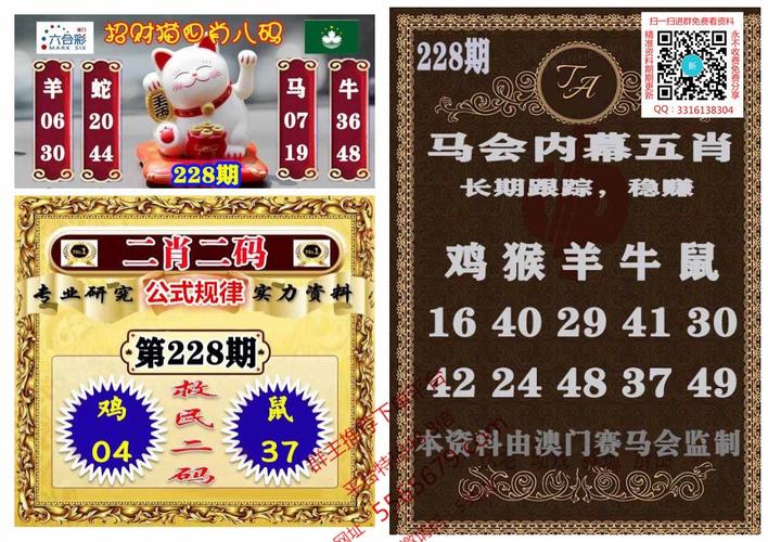 2024年12月26日 第3页
