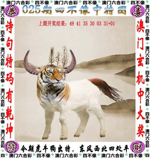 澳门天天彩正版免费全年资料,设计策略快速解答_整版DKJ656.74