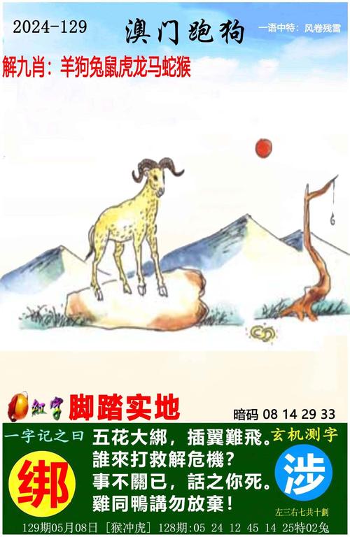 2024年12月26日 第2页