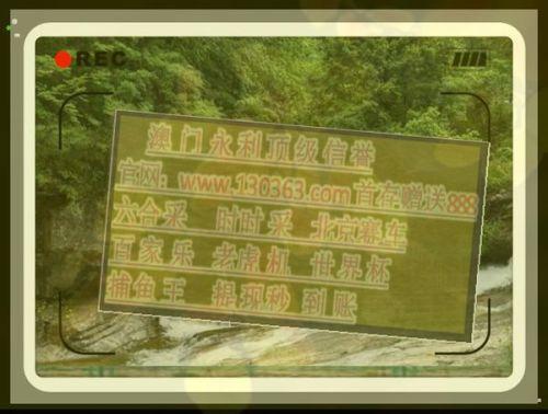 三中三澳门资料,绝对策略计划研究_社交版40.12.0