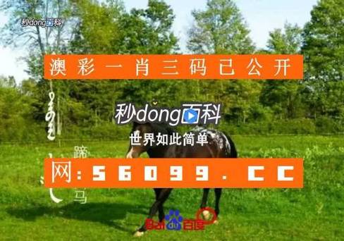 2023澳门一肖一码精准100%,真实经典策略设计_VR型43.237