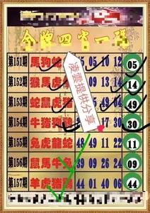 2024年12月 第9页