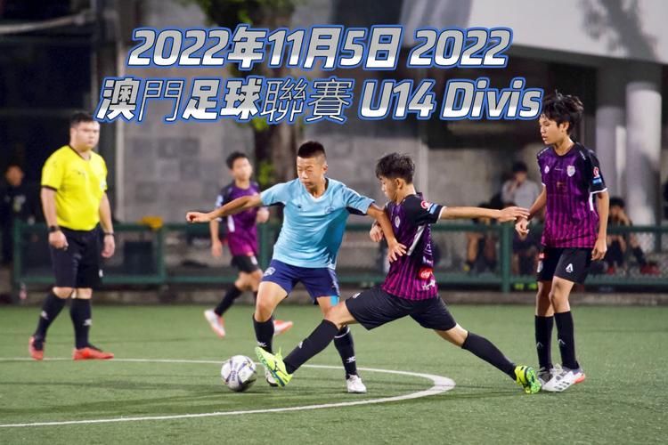 2022年澳门资料免费大全玄武版,设计策略快速解答_VR型43.237