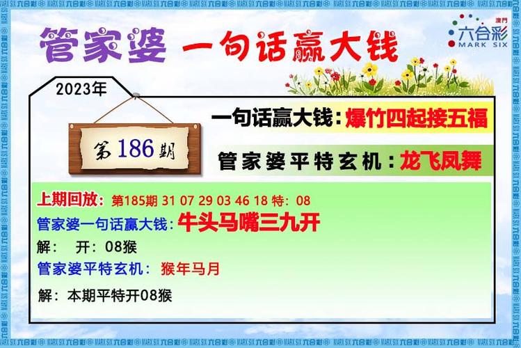 二四六澳门天天彩资料大全网,真实经典策略设计_VR型43.237