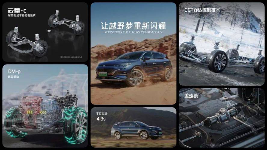 高清免费在线观看网站,绝对策略计划研究_社交版40.12.0