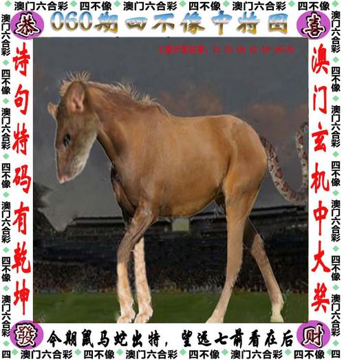 澳门六开彩天天正版澳门在线,绝对策略计划研究_社交版40.12.0