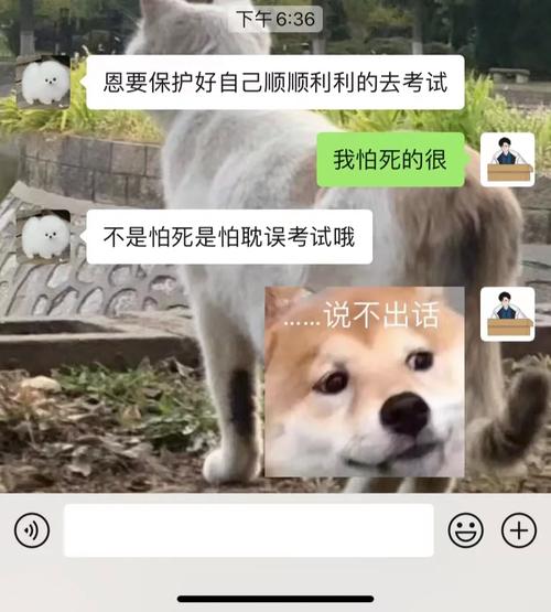 妈妈再爱我一次,设计策略快速解答_整版DKJ656.74