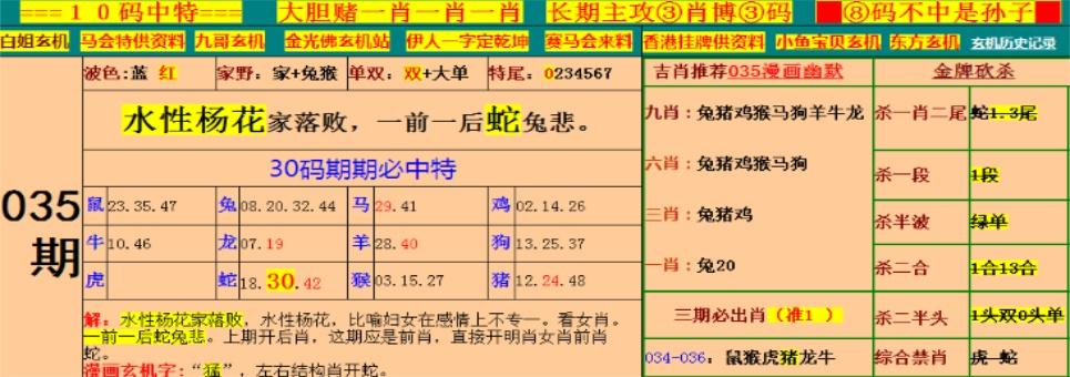 澳门王中王全全资料查询,设计策略快速解答_整版DKJ656.74