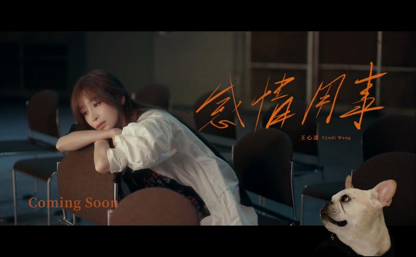 80s电影网WWW高清,设计策略快速解答_VR型43.237