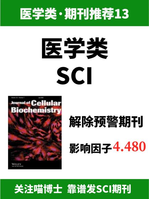 2025年2月12日 第2页