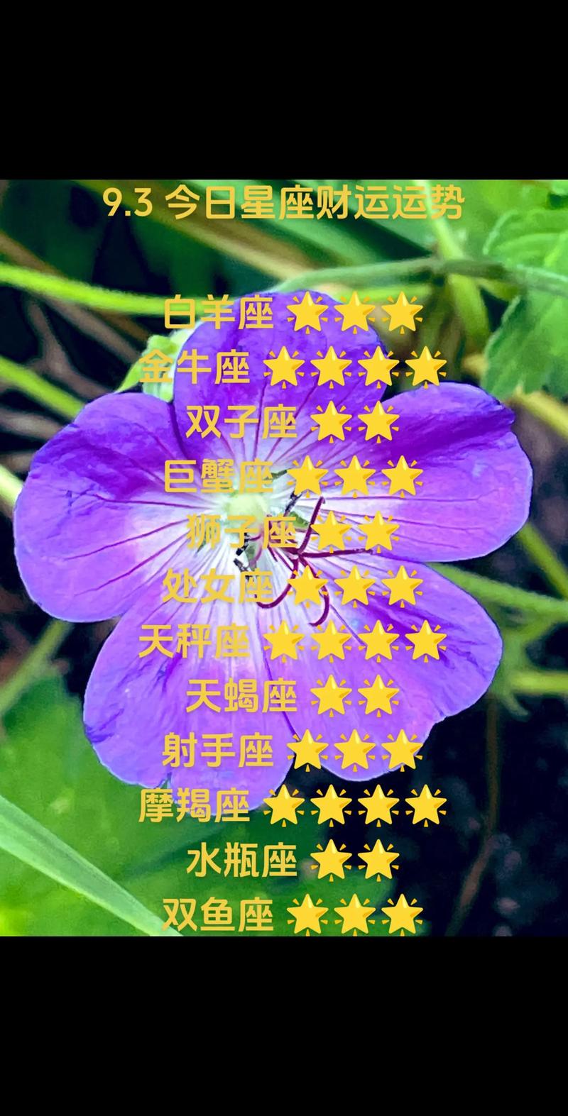白羊座运势今日最准,绝对策略计划研究_社交版40.12.0