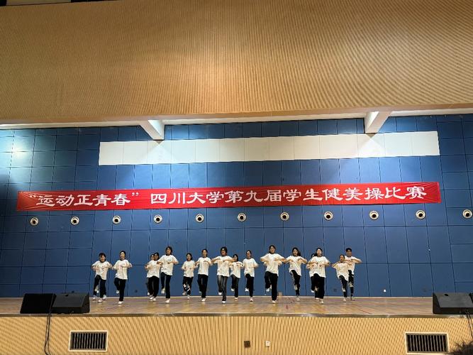 2024田径比赛报名入口,设计策略快速解答_VR型43.237