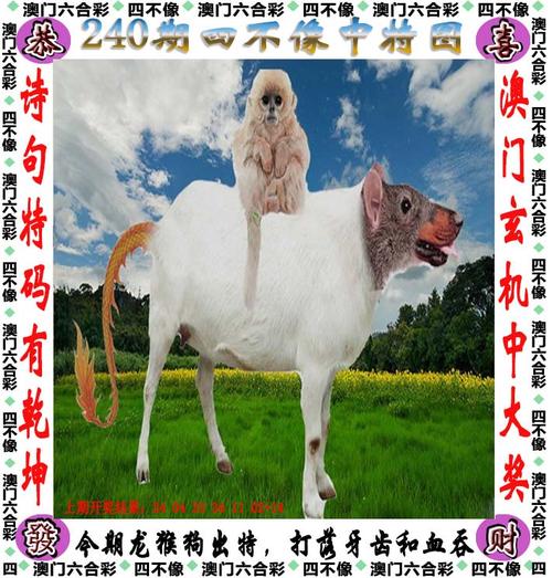王中王中特网资料大全,真实经典策略设计_VR型43.237