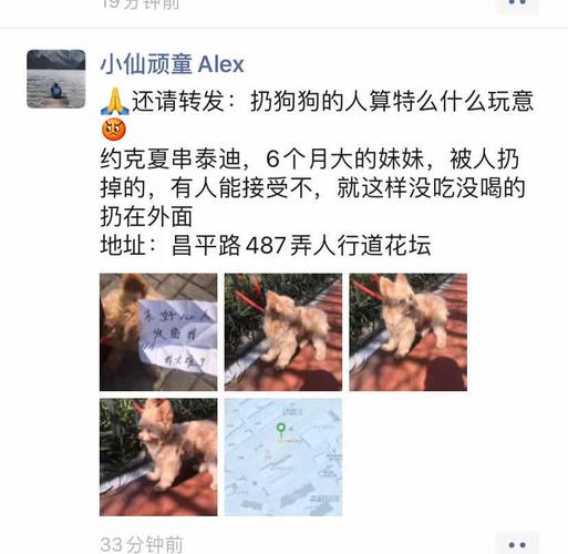 缘,妙不可言下一句,设计策略快速解答_VR型43.237