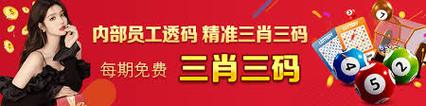 澳门一肖一码100%准吗,设计策略快速解答_整版DKJ656.74