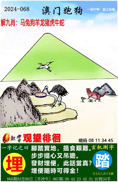 澳门特马今晚开什么码,设计策略快速解答_VR型43.237