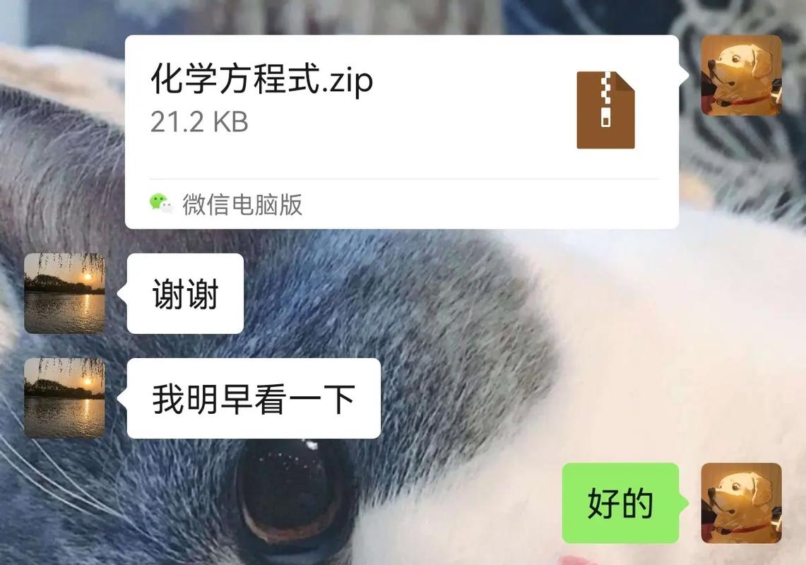 体育生怎么复读,绝对策略计划研究_社交版40.12.0