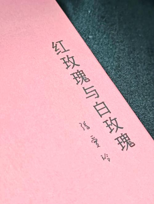 红玫瑰白玫瑰代表什么意思,绝对策略计划研究_社交版40.12.0