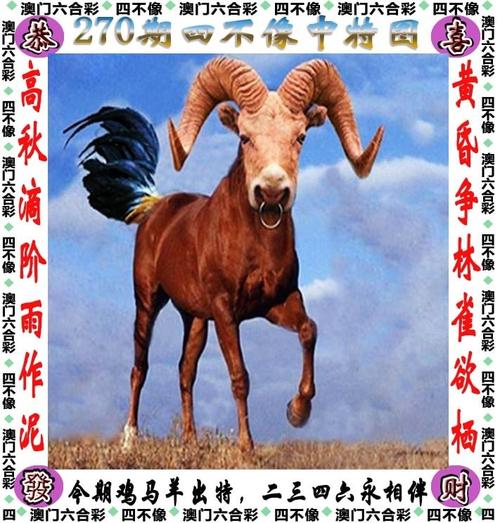 2023年澳门六合资料酷知网查询,设计策略快速解答_VR型43.237