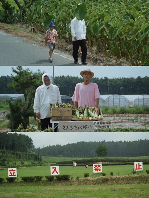 菊次郎的夏天电影原声,真实经典策略设计_VR型43.237