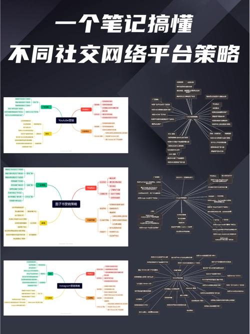 万能八码稳赚,绝对策略计划研究_社交版40.12.0