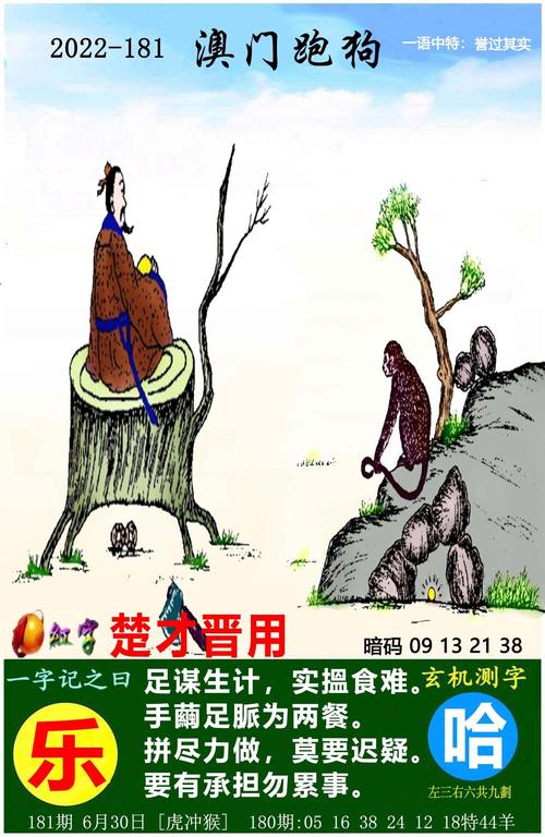 今晚新澳门六开彩资料,设计策略快速解答_整版DKJ656.74