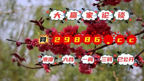 四肖中特期期准长期公开,真实经典策略设计_VR型43.237