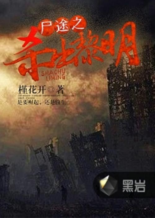 杀出黎明电视剧全集36集免费观看,真实经典策略设计_VR型43.237
