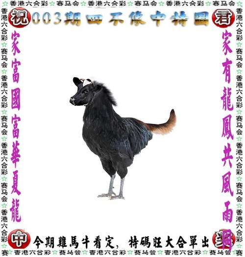 今晚澳门特马买什么,绝对策略计划研究_社交版40.12.0