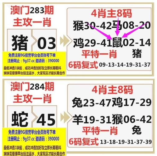 奥门六合资料,设计策略快速解答_VR型43.237