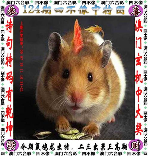 2025年3月10日 第6页