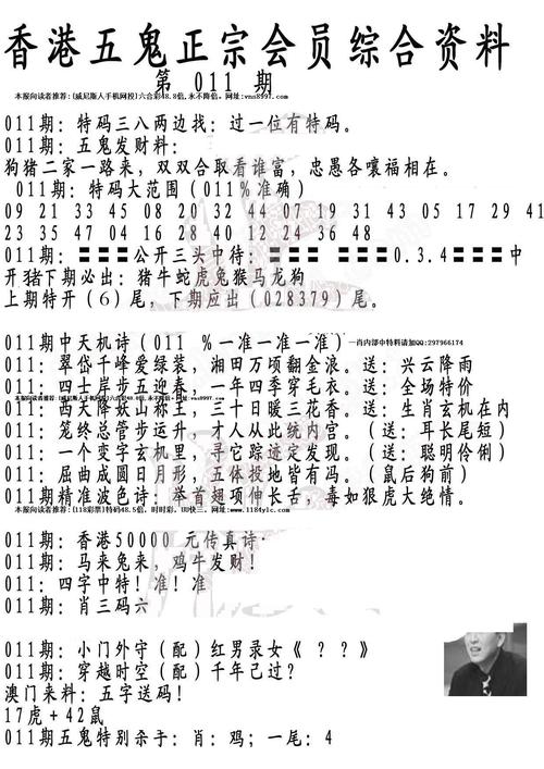 香港资料图库一免费,设计策略快速解答_VR型43.237