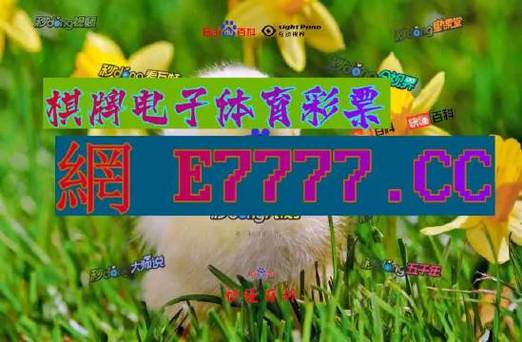 四季发财精准一肖,设计策略快速解答_VR型43.237
