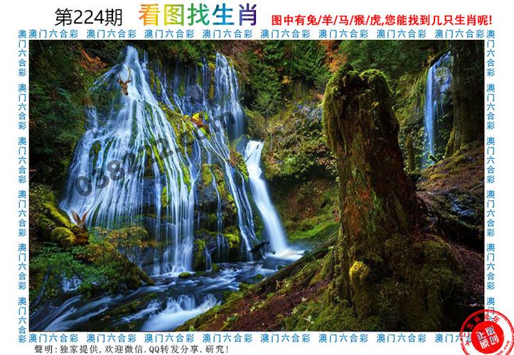 澳门仙人指路六码中特己经公开,设计策略快速解答_整版DKJ656.74