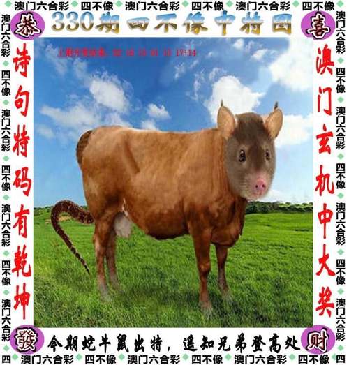管家婆最准一肖一码的免费资料?,设计策略快速解答_VR型43.237