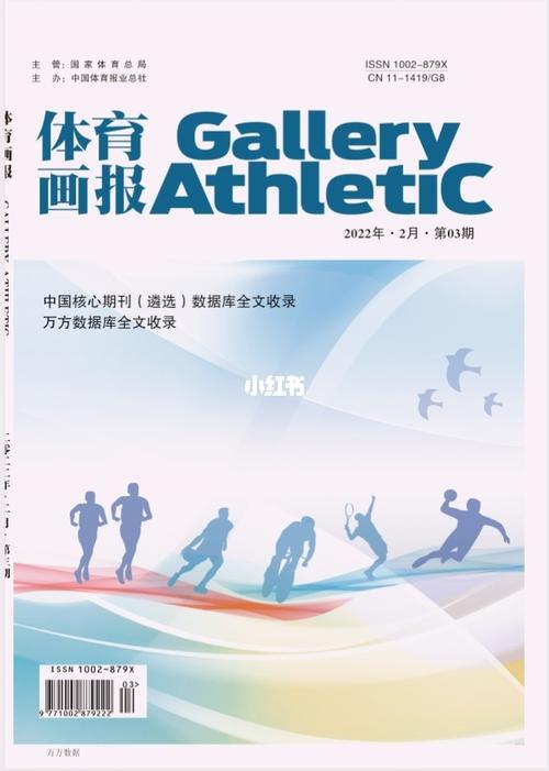 体育科学期刊级别,设计策略快速解答_VR型43.237