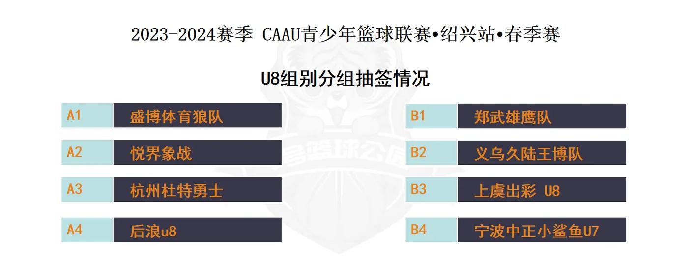 青少年体育联赛,真实经典策略设计_VR型43.237