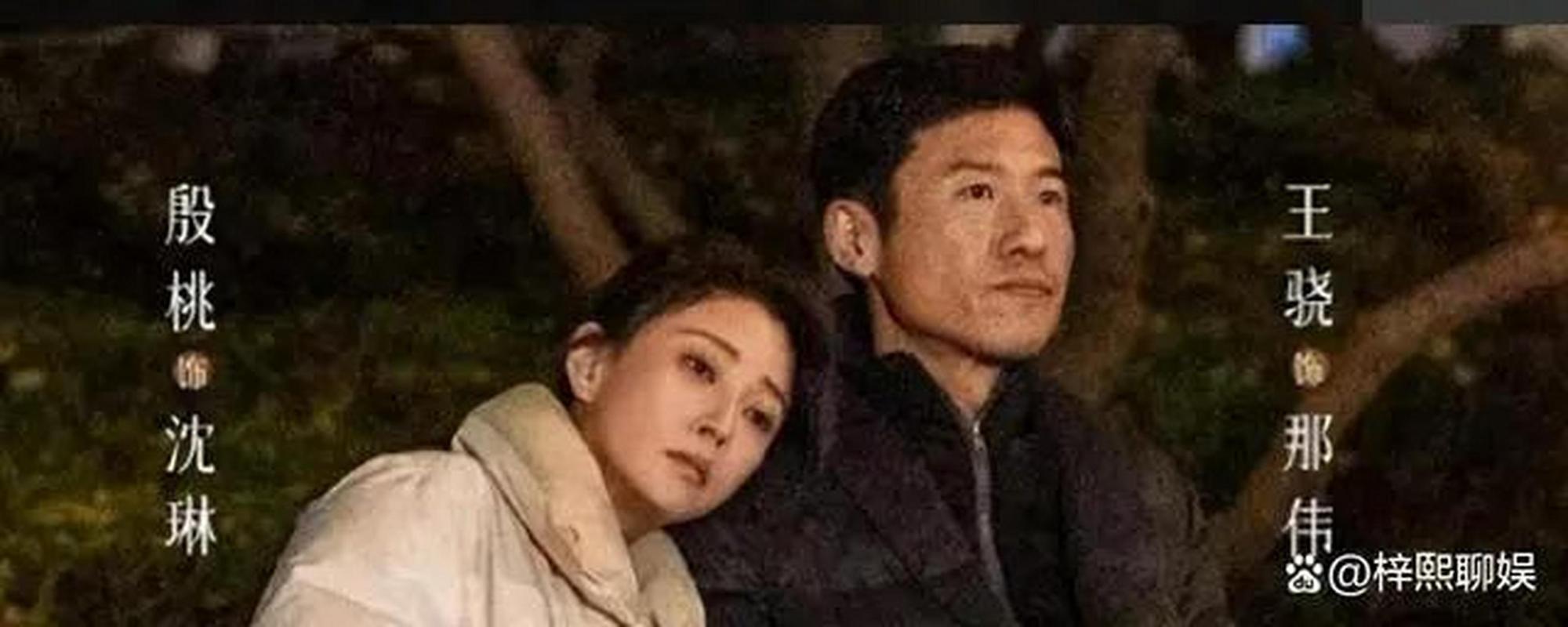 凡人电视剧,真实经典策略设计_VR型43.237