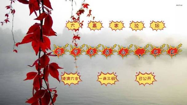 一肖一码管家婆,设计策略快速解答_整版DKJ656.74