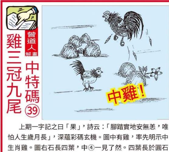 20234澳门一肖一码精准,设计策略快速解答_整版DKJ656.74