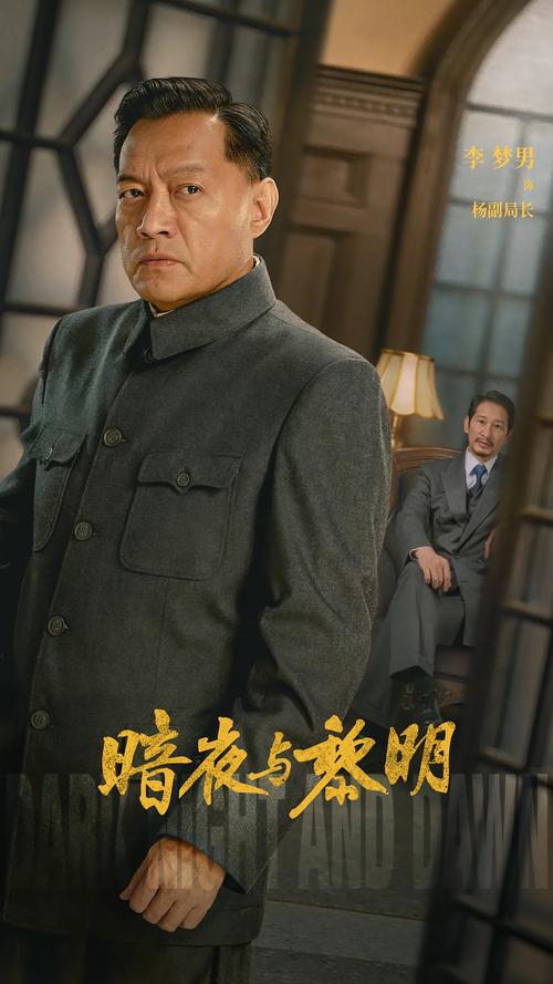 黑暗与黎明电视剧全集免费播放,设计策略快速解答_整版DKJ656.74