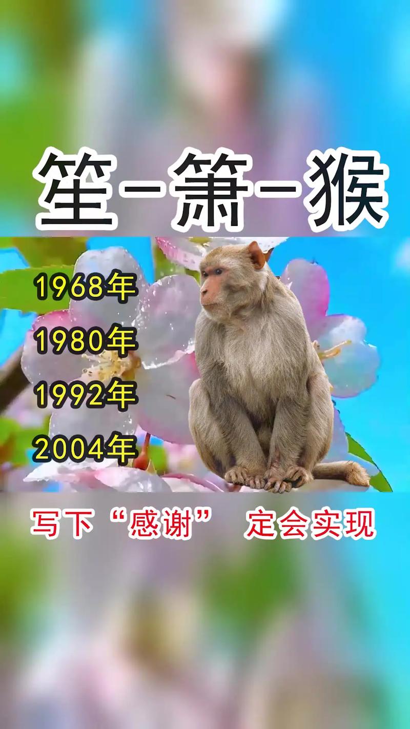 属猴人今日运势最准,绝对策略计划研究_社交版40.12.0