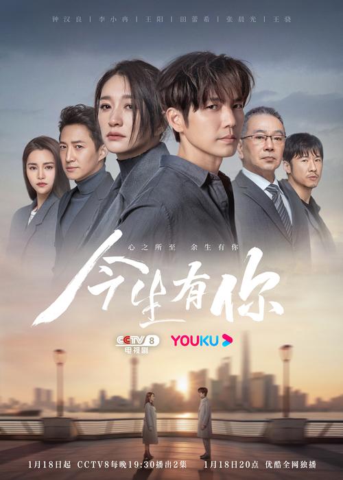 一生有你电视剧免费观看完整版,设计策略快速解答_整版DKJ656.74