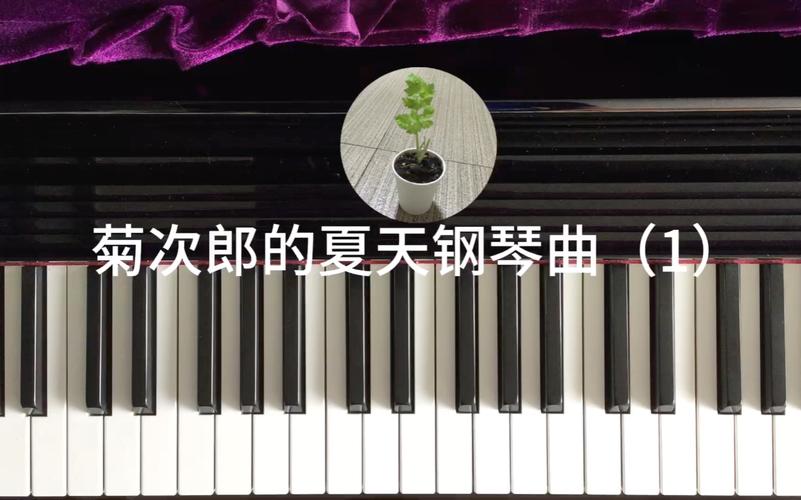 菊次郎的夏天纯音乐,真实经典策略设计_VR型43.237